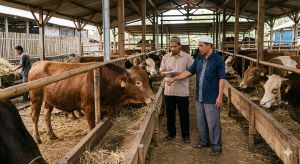 ‘Qurban Checklist’: Panduan Memilih Hewan Anti-Gagal Menurut Fikih